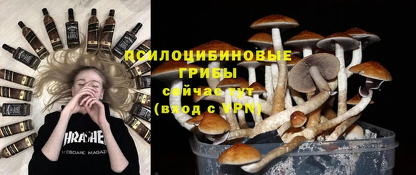 кокс Алексин