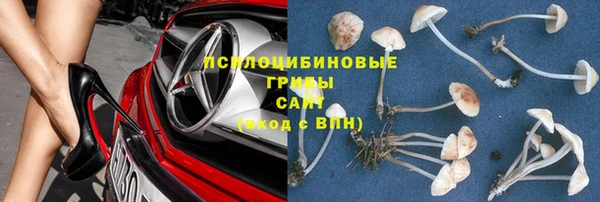 кокс Алексин