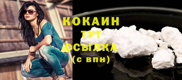кокс Алексин
