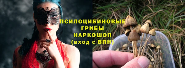 гидра Алзамай