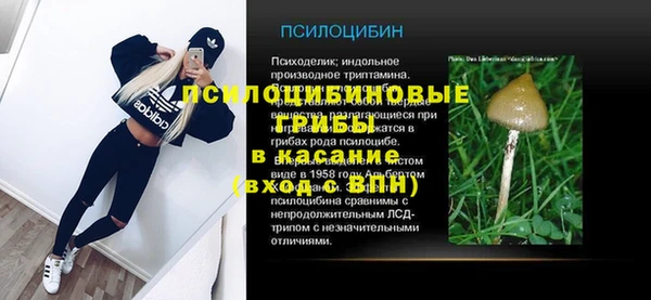 кокс Алексин