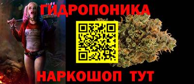 прущие грибы Нягань