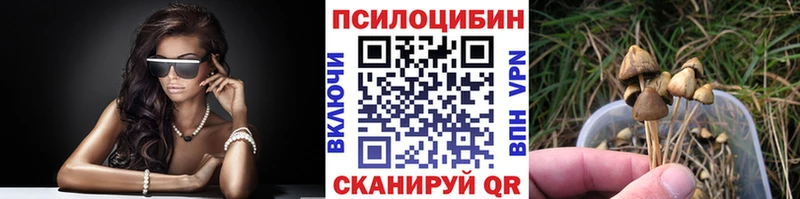 Псилоцибиновые грибы Psilocybe  магазин продажи наркотиков  Похвистнево 